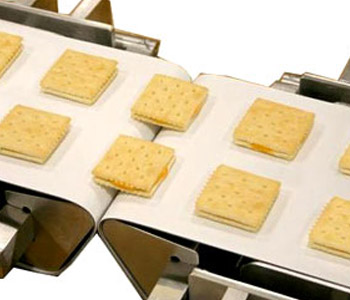 Food Grade Conveyor Belts